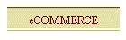 eCOMMERCE